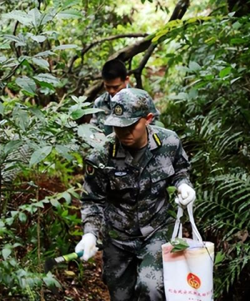 深圳生活最新动态，揭示繁荣都市的生活细节