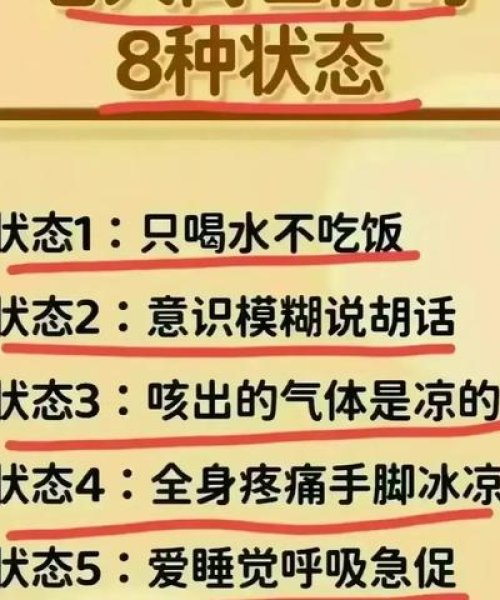 中国经济排名世界多少名，探究与解析