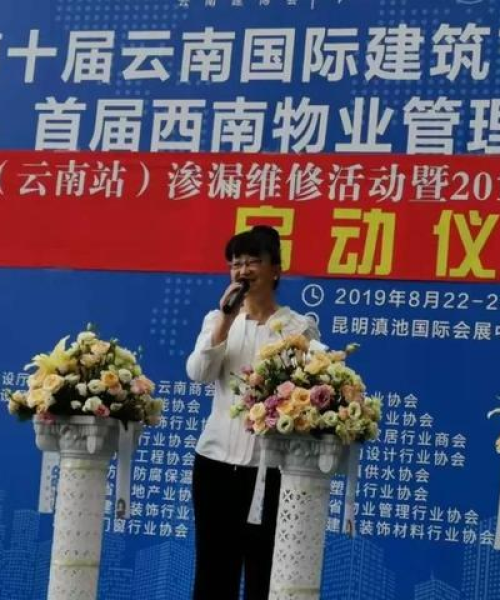 肝胆相照 第2页