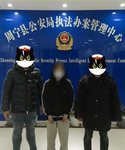 周宁偷盗文物事件视频最新报道