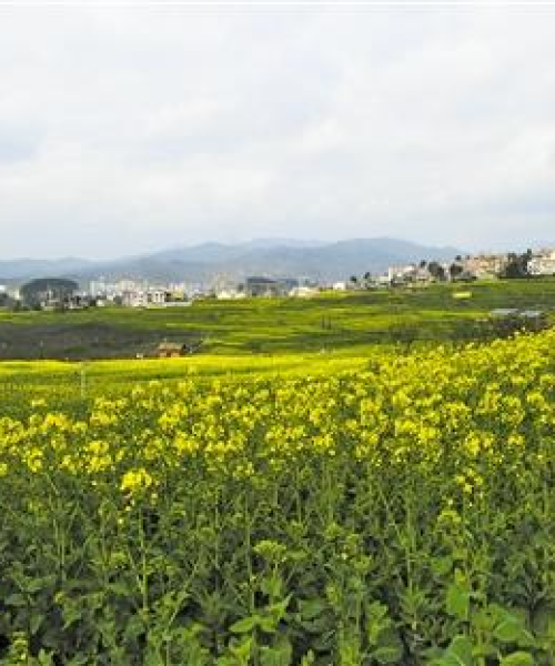 坛厂乡村道路改造工程最新消息