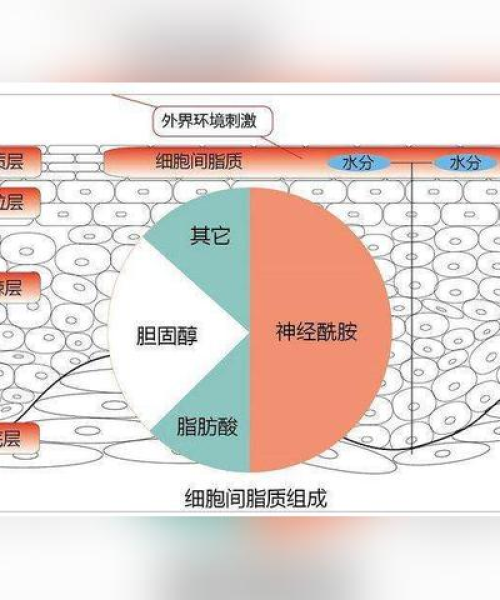 古建筑防水材料，守护历史遗产的坚实屏障