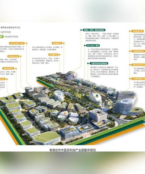 澳门2025开奖记录查询结果021期22-31-17-42-36-11 T：02