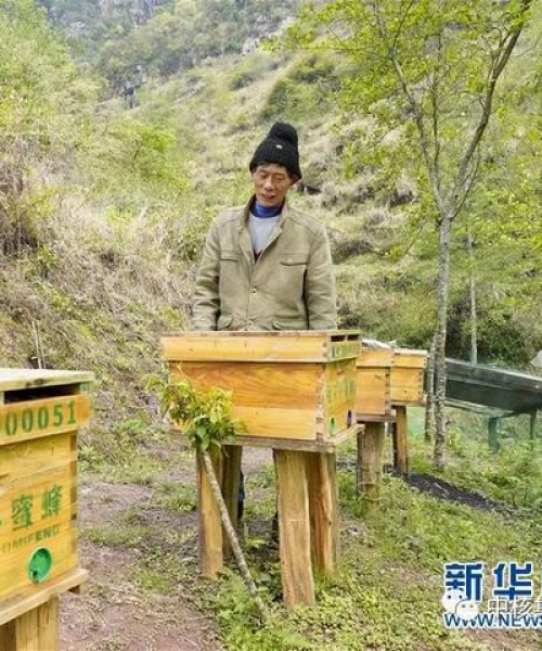 重庆蔬果公司排名