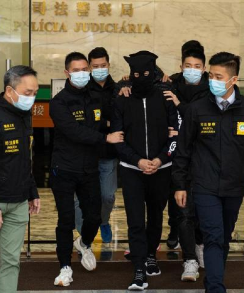 官方支持：新澳门最精准免费大全｜数据分析说明