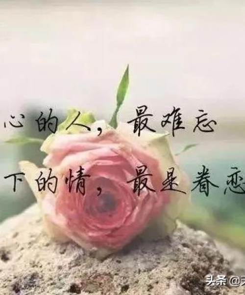 清晨语录治愈励志句子