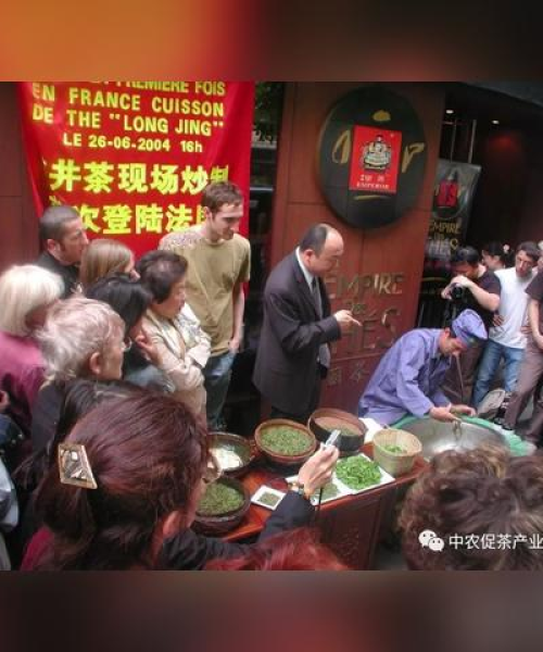 世界珠茶之源排名