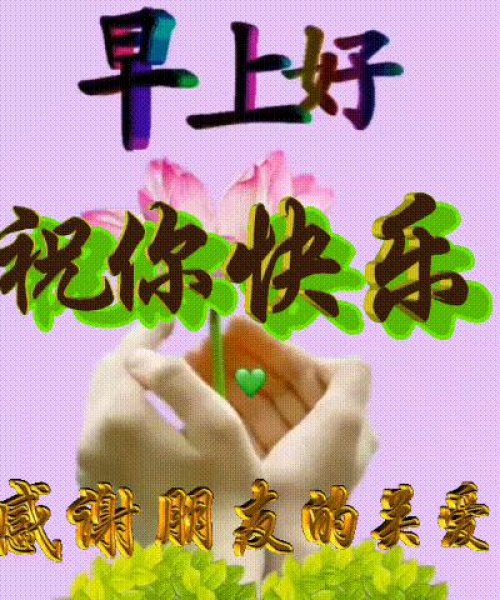 朋友圈2021励志语录，数据背后的力量与希望