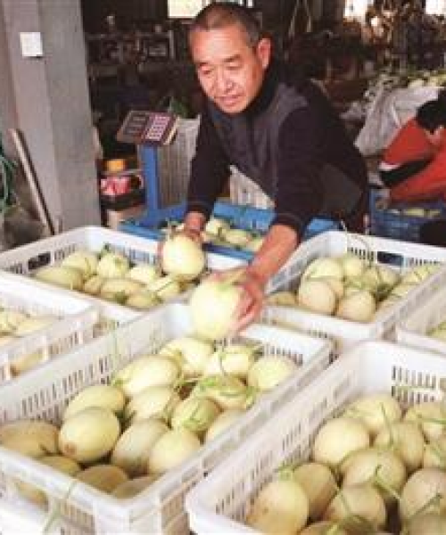 金清今日新闻最新消息