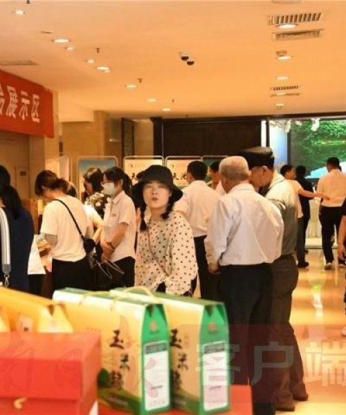 洛阳伊川嵩县新闻头条——县域经济发展新动态