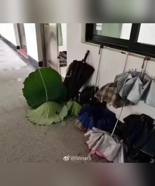 爆笑作品排名前十名，让你笑到肚子疼！