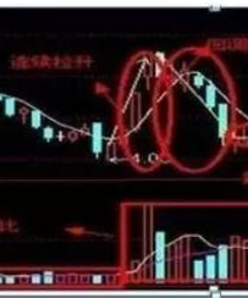 今日肉股行情最新消息新闻