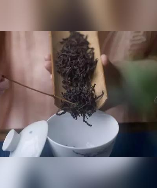 女人现实励志语录，逆流而上的力量