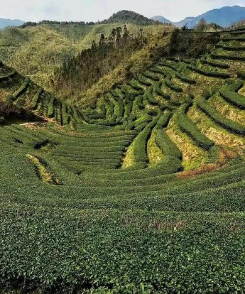 世界最美的四大景区排名