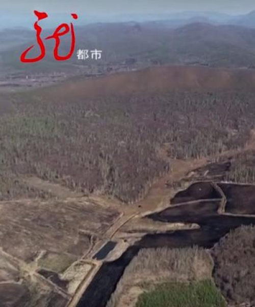 依兰县被打小孩身份揭秘，最新消息与关注焦点