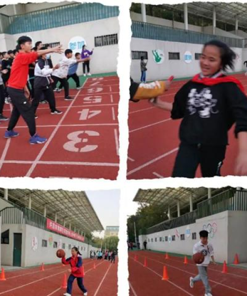 青春励志语录，用数据与行动铸就辉煌人生