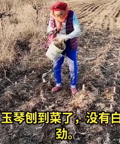 男明星脚踩鞋视频大全，最新潮流时尚解析