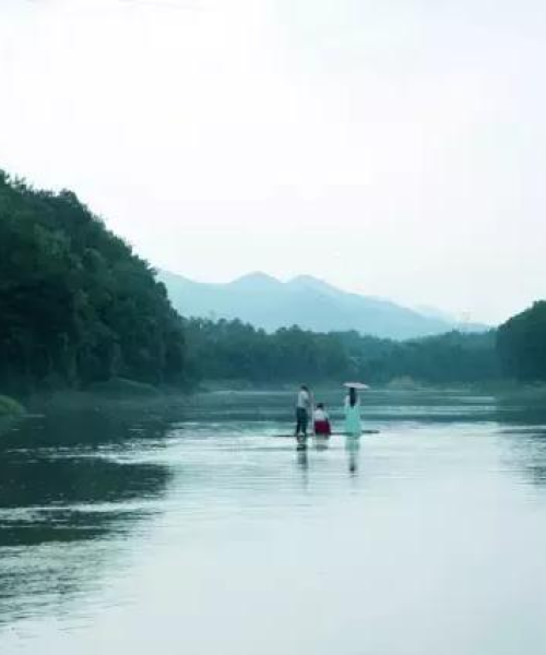 励志语录，上岸之路，数据见证你的辉煌