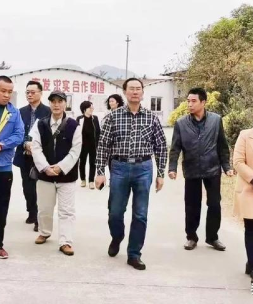 质而不俚