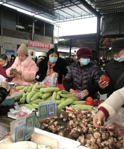 今日德阳生猪最新价格及分析