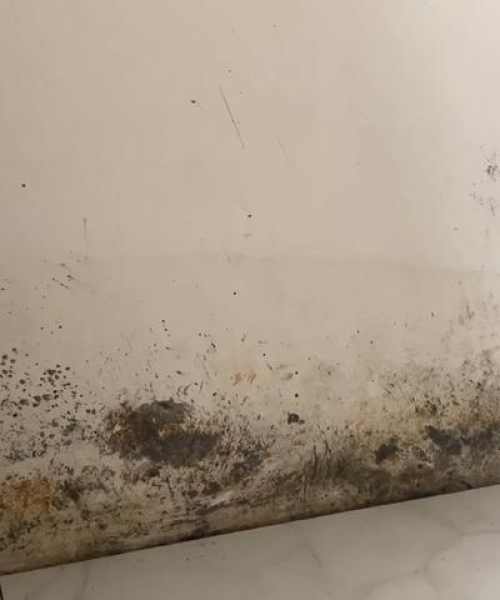 全球阀门公司排名