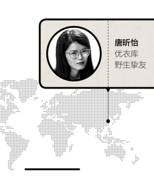 偶像超燃励志语录，数字背后的力量与坚持